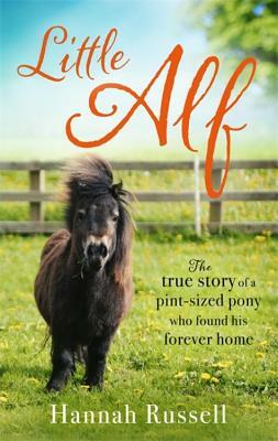 Little Alf: The True Story of a Pint-Sized Pony Who Found His Forever Home by Hannah Russell