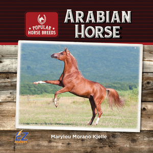 Arabian Horse by Marylou Morano Kjelle