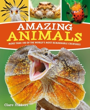Amazing Animals: More Than 100 of the World's Most Remarkable Creatures by Claire Hibbert, Clare Hibbert