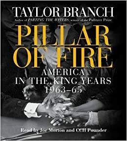 Pillar of Fire: America in the King Years, Part 2: 1963-64 by Joe Morton, Taylor Branch, C.C.H. Pounder
