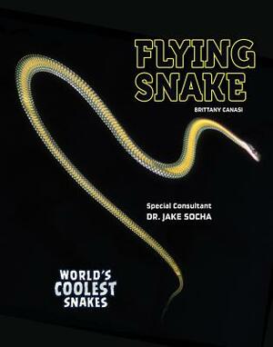 Flying Snake by Brittany Canasi