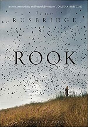 Rook by Jane Rusbridge