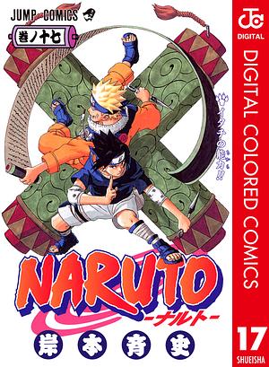 NARUTO―ナルト― カラー版 17 by 岸本 斉史, Masashi Kishimoto