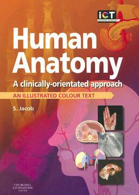 Human Anatomy: A Clinically-Orientated Approach by Sam Jacob