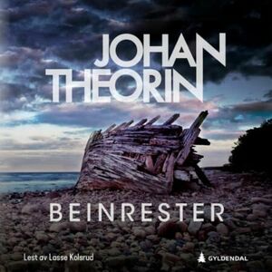 Beinrester  by Johan Theorin
