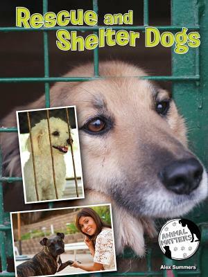 Rescue and Shelter Dogs by Alex Summers