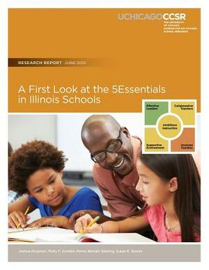 A First Look at the 5Essentials in Illinois Schools by Molly F. Gordon, Penny Bender Sebring, Susan E. Sporte