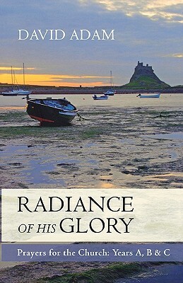 Radiance of His Glory - Prayers for the Church: Years A, B and C by David Adam