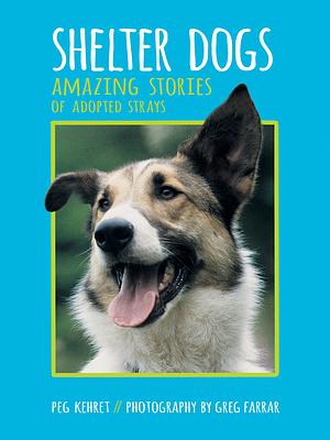 Shelter Dogs: Amazing Stories of Adopted Strays by Peg Kehret