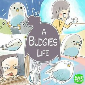 A Budgie's Life by Muffin Girl