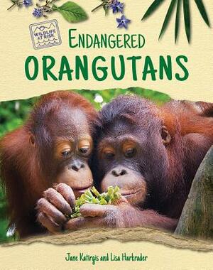 Endangered Orangutans by Jane Katirgis