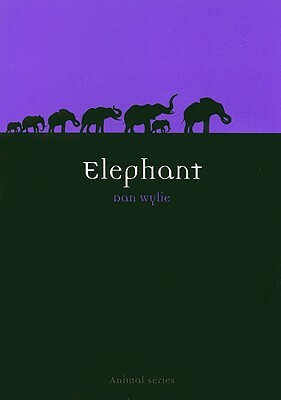 Elephant by Dan Wylie