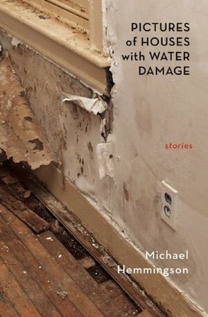 Pictures of Houses with Water Damage by Michael Hemmingson