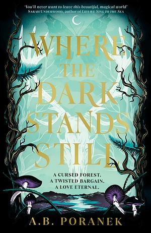 Where the Dark Stands Still: A sweeping, gothic YA fairy tale by A.B. Poranek