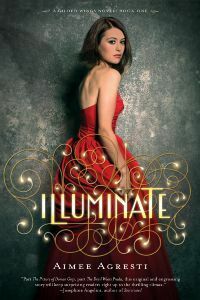 Illuminate by Aimee Agresti