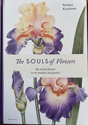 The Souls of Flowers by Klara Mandausova, Pavlina Kourkova