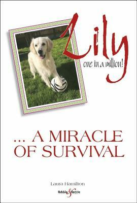 Lily: One in a Million: ... a Miracle of Survival by Laura Hamilton