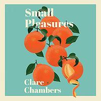 Small Pleasures by Clare Chambers