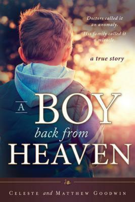 A Boy Back from Heaven by Celeste Goodwin, Matthew Goodwin