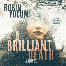 A Brilliant Death by Robin Yocum