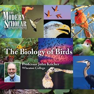 The Biology of Birds by John C. Kricher