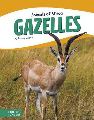 Gazelles by Tammy Gagne