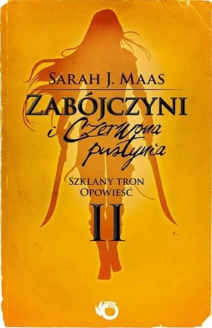 Zabójczyni i uzdrowicielka by Sarah J. Maas