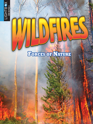 Wildfires by Pamela McDowell