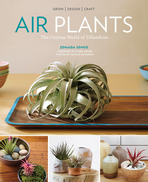 Air Plants: The Curious World of Tillandsias by Zenaida Sengo, Caitlin Atkinson