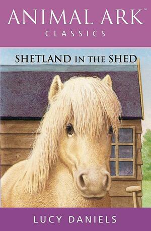 Shetland In The Shed by Lucy Daniels, Ben M. Baglio