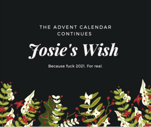 Josie's Wish by Ruby Dixon