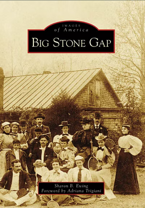 Big Stone Gap by Sharon B. Ewing