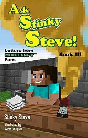 Ask Stinky Steve - Letters from Minecraft Fans by Stinky Steve