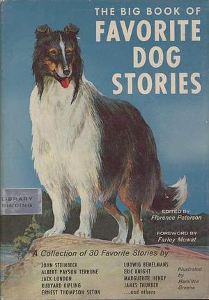 Big Book of Favorite Dog Stories by Florence Peterson