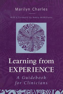 Learning from Experience: A Guidebook for Clinicians by Marilyn Charles