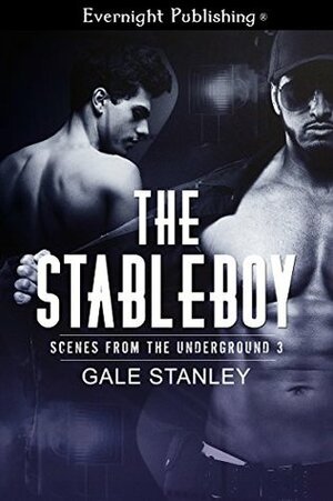 The Stableboy by Gale Stanley