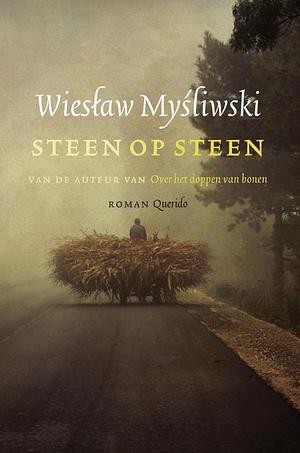 Steen op steen by Wiesław Myśliwski