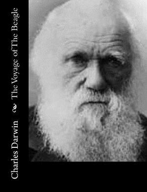 The Voyage of The Beagle by Charles Darwin
