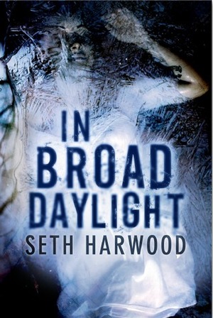 In Broad Daylight by Seth Harwood