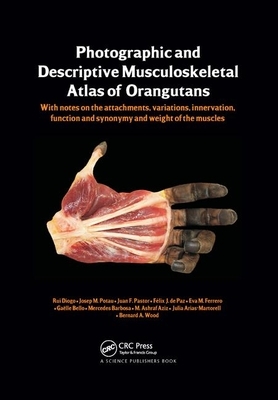 Photographic and Descriptive Musculoskeletal Atlas of Orangutans: With Notes on the Attachments, Variations, Innervations, Function and Synonymy and W by Rui Diogo, Josep M. Potau, Juan F. Pastor