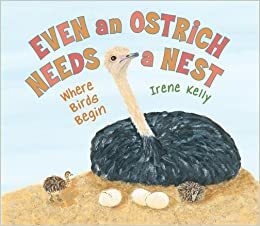 Even an Ostrich Needs a Nest: Where Birds Begin by Irene Kelly
