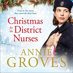 Christmas for the District Nurses by Annie Groves