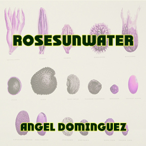RoseSunWater by Angel Dominguez