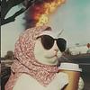 bigdoll's profile picture