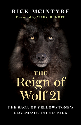 The Reign of Wolf 21: The Saga of Yellowstone's Legendary Druid Pack by Marc Bekoff, Rick McIntyre