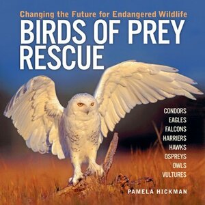 Birds of Prey Rescue: Changing the Future for Endangered Wildlife by Pamela Hickman