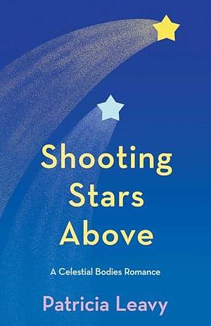 Shooting Stars Above by Patricia Leavy