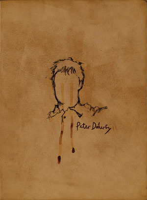 The Books of Albion by Pete Doherty