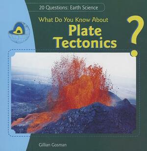 What Do You Know about Plate Tectonics? by Gillian Gosman