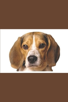 Beagle by Happy Paw Publishing